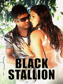 Black Stallion Poster 4