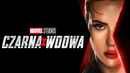 Black Widow Poster 3