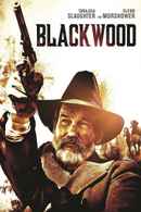 Black Wood Poster 7