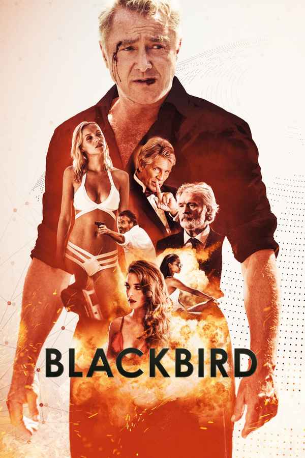 Blackbird Poster 1