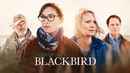Blackbird Poster 1