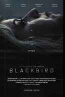 Blackbird Poster 3