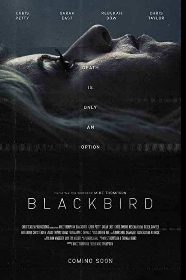 Blackbird Poster 3