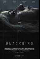 Blackbird Poster 6