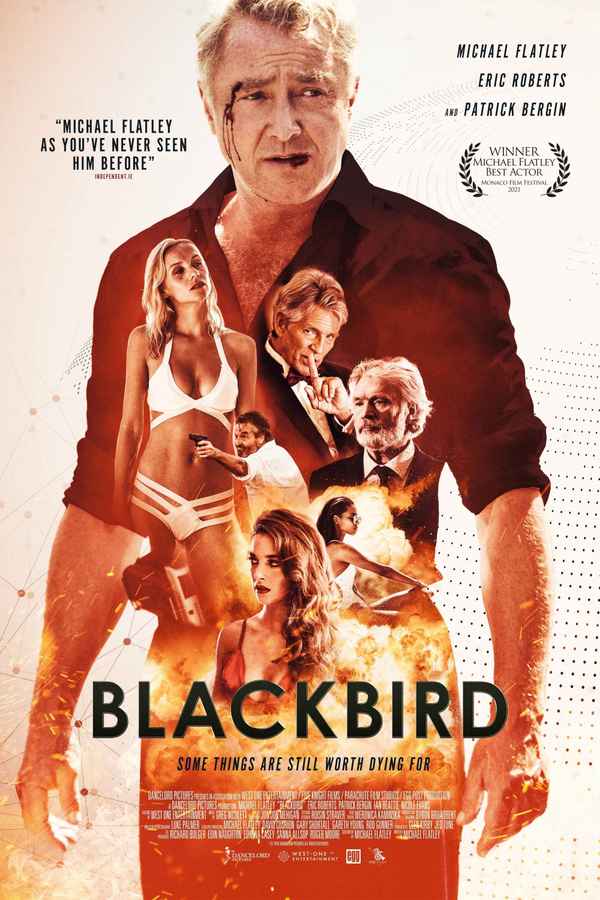 Blackbird Poster 2