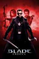 Blade: Trinity Poster 3