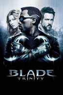 Blade: Trinity Poster 6