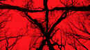 Blair Witch Poster 4
