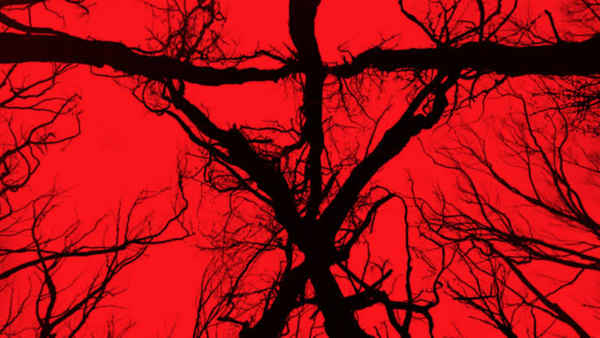 Blair Witch Poster 4