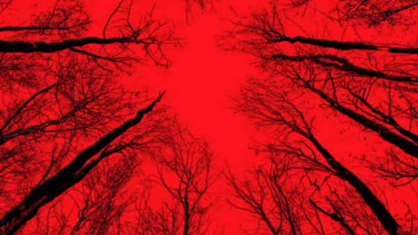 Blair Witch Poster 2