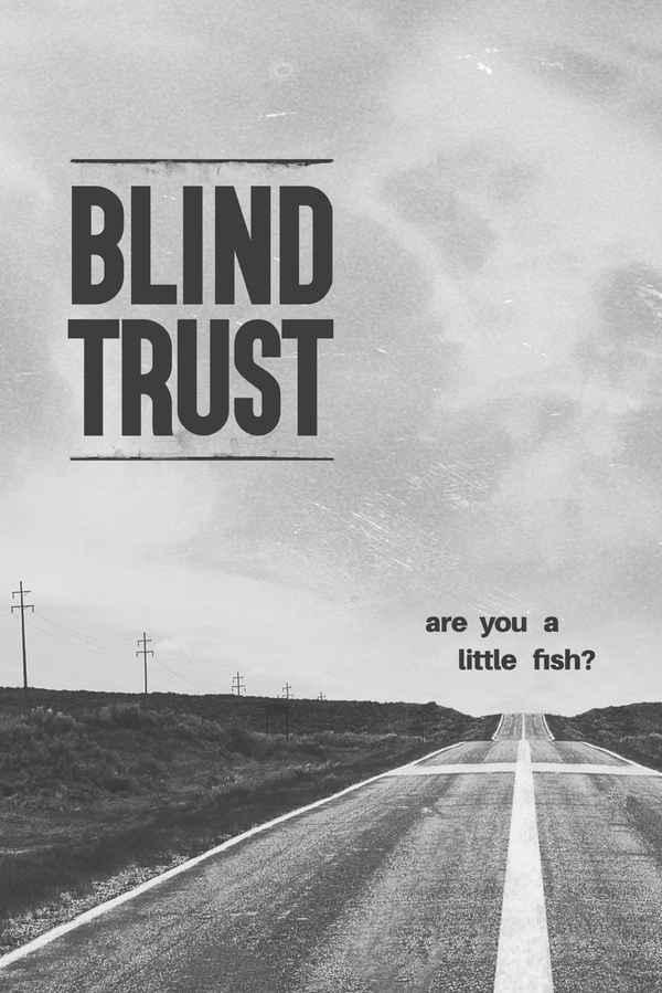 Blind Trust Poster 2
