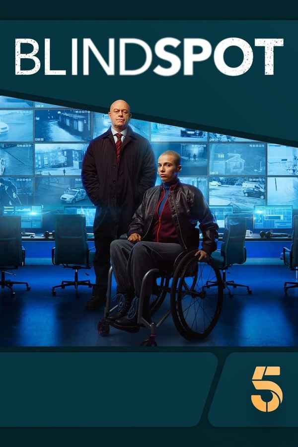Blindspot Poster 3