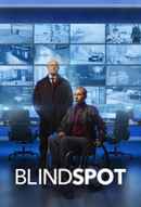 Blindspot Poster 4