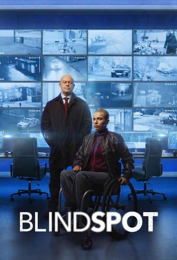 Blindspot Poster 4