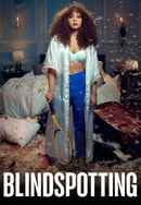 Blindspotting Poster 4