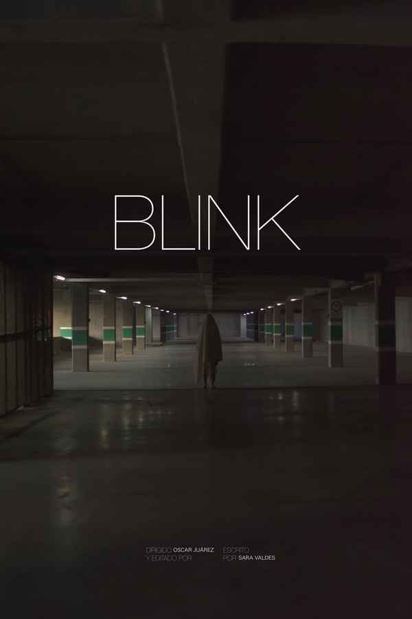 Blink Poster 2