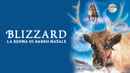 Blizzard Poster 3