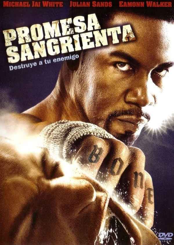 Blood and Bone Poster 6