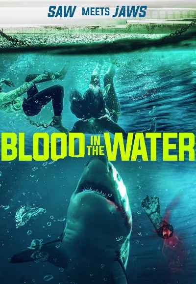 Blood In The Water