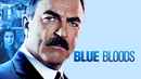 Blue Bloods Poster 6
