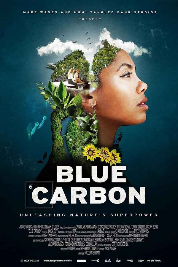 Blue Carbon Poster 2