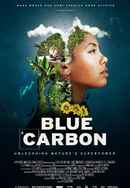 Blue Carbon Poster 3