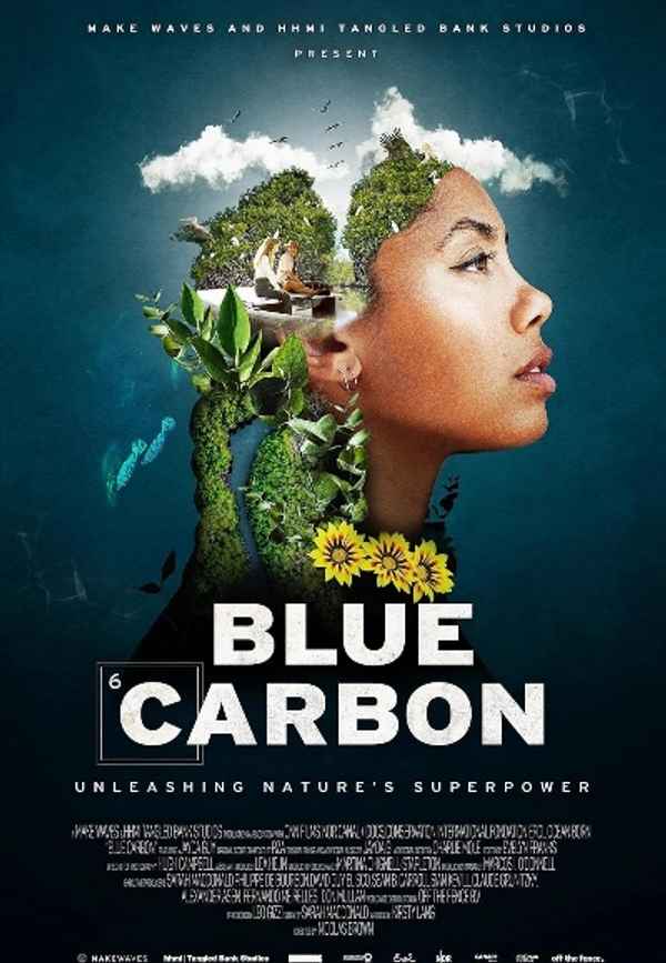 Blue Carbon Poster 3