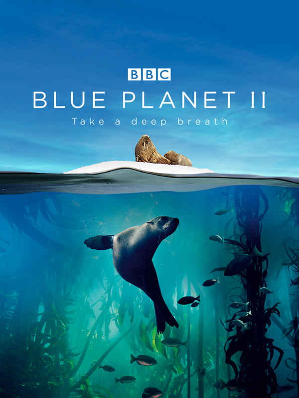 Blue Planet II Poster 3