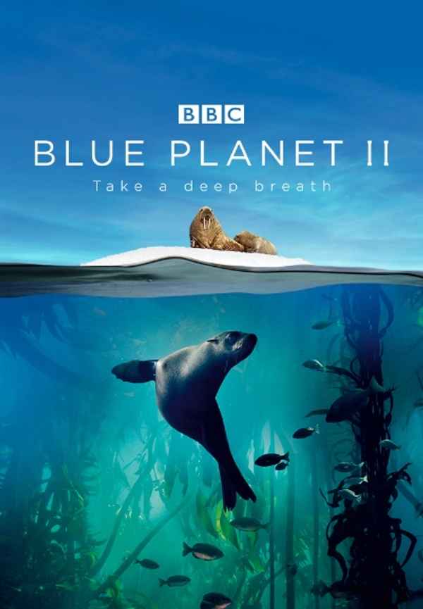 Blue Planet II Poster 4