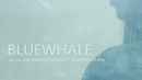 Blue Whale Poster 5
