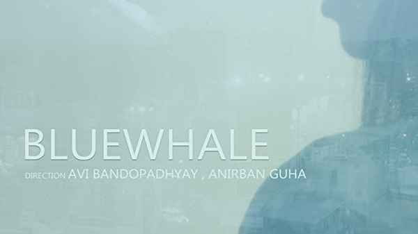 Blue Whale Poster 5