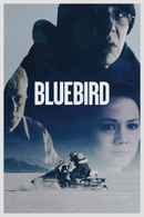 Bluebird Poster 6
