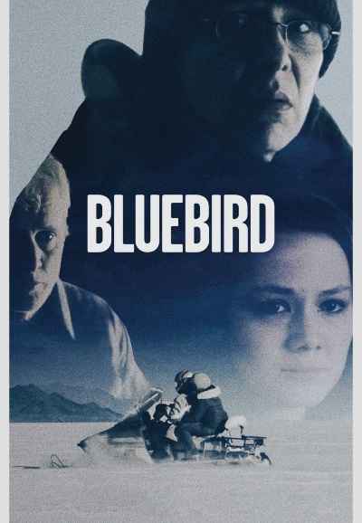 Bluebird