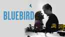 Bluebird Poster 2