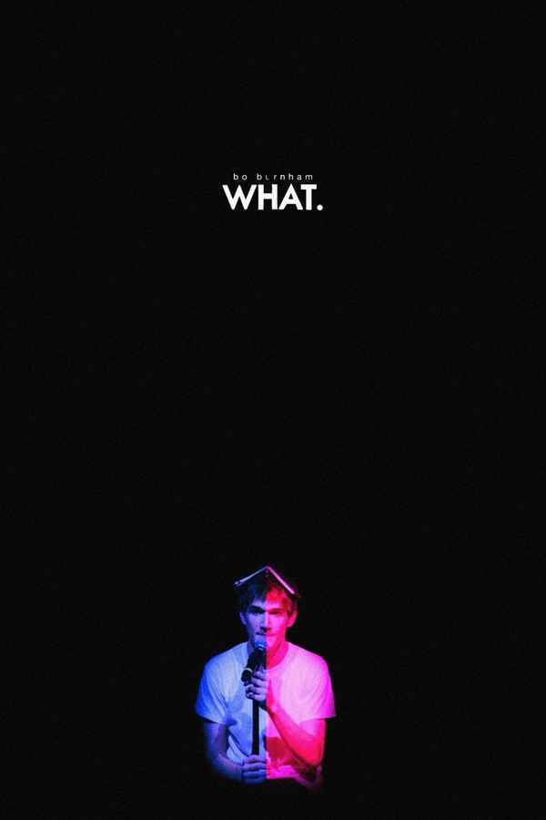 Bo Burnham: what. Poster 2