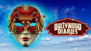 Bollywood Diaries Poster 1