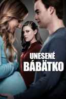 Born and Missing Poster 5