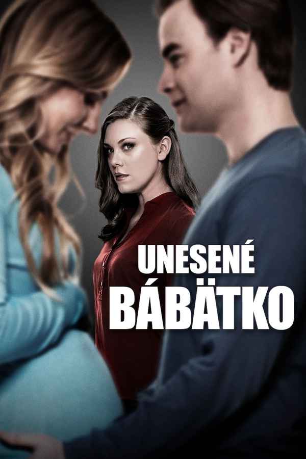 Born and Missing Poster 5