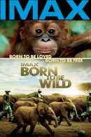 Born to Be Wild Poster 3