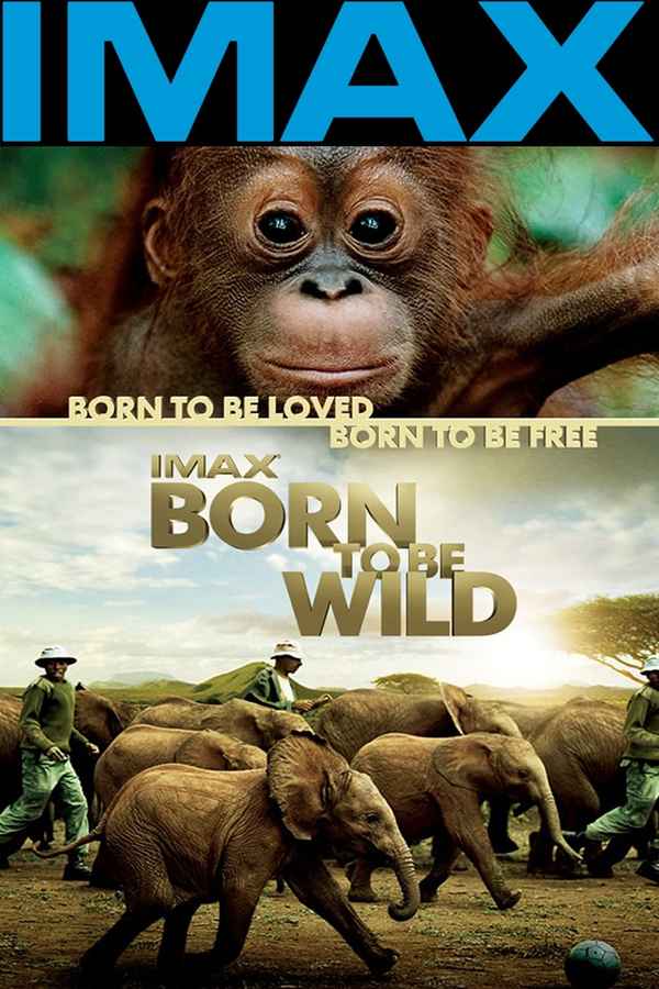 Born to Be Wild Poster 3
