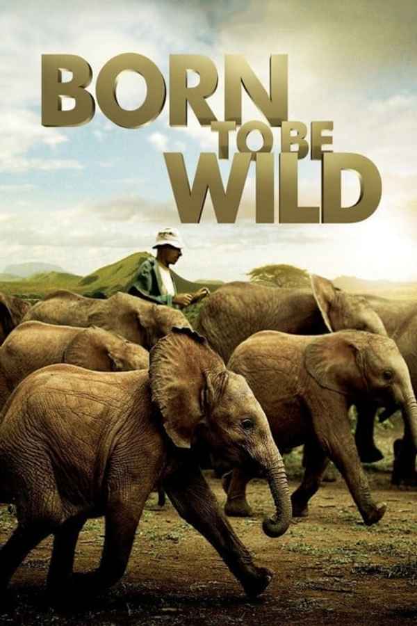 Born to Be Wild Poster 6