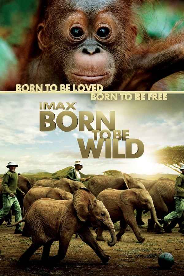 Born to Be Wild Poster 5