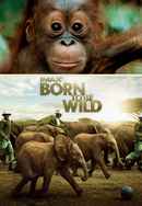 Born to Be Wild Poster 7