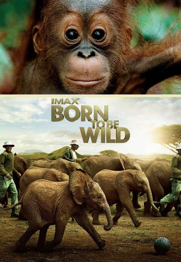 Born to Be Wild Poster 7