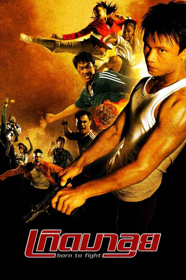 Born To Fight Poster 1