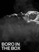 Boro in the Box Poster 1