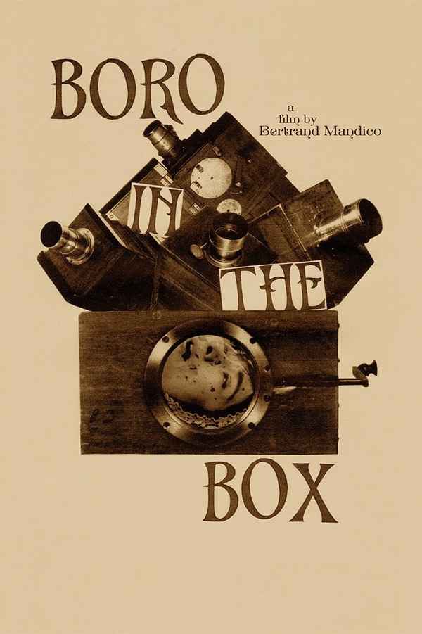 Boro in the Box Poster 5
