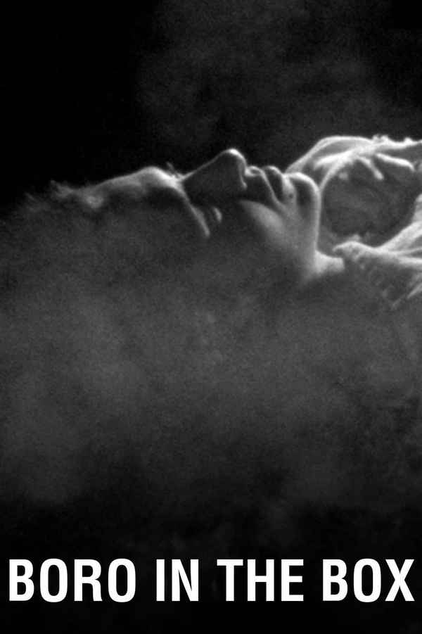 Boro in the Box Poster 4