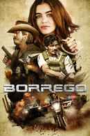 Borrego Poster 6