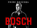 Bosch Poster 5